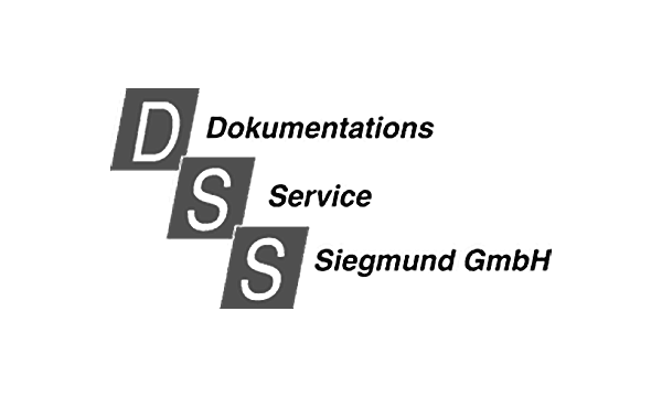 logo_DSS_600x360px